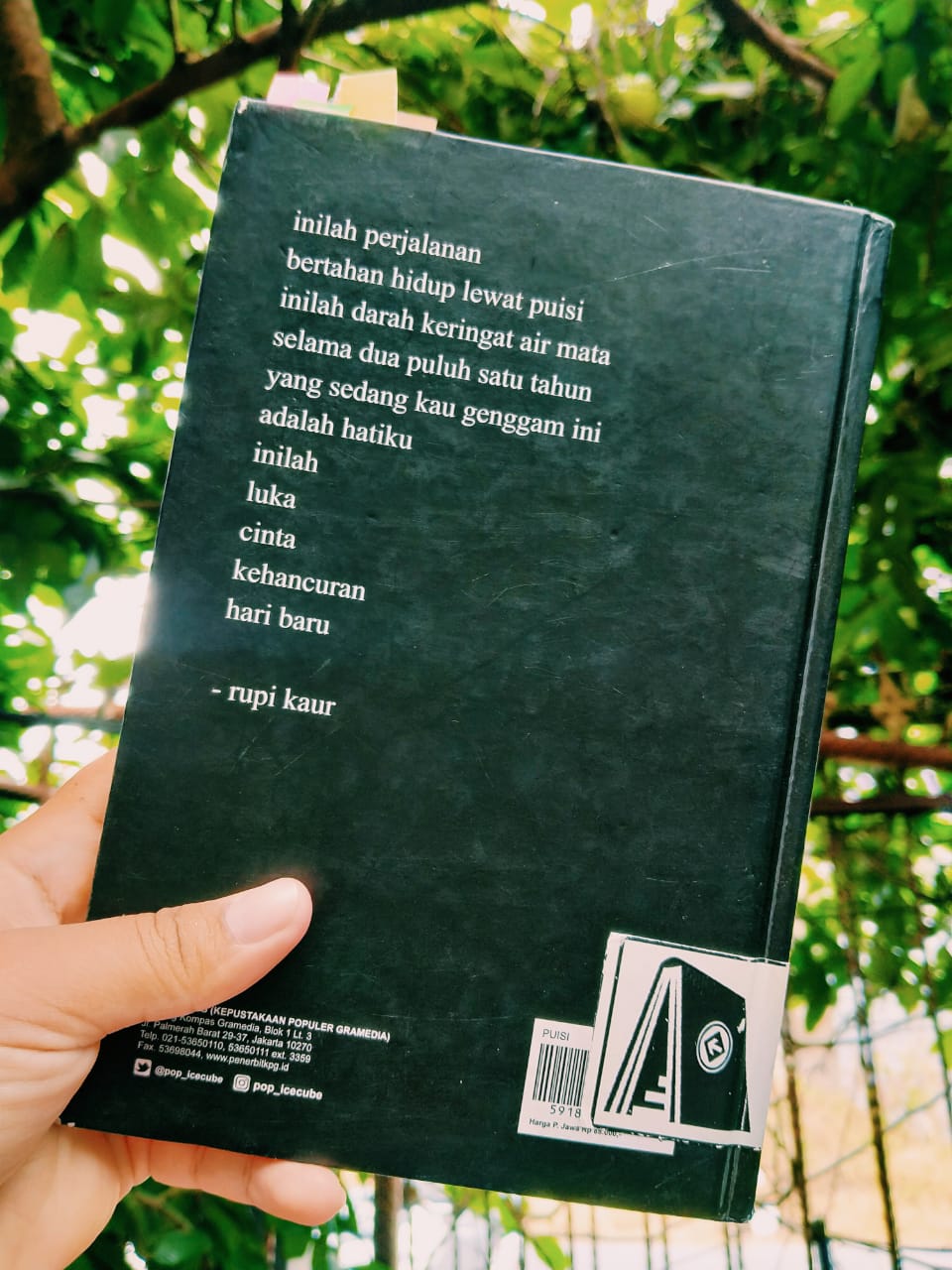 Milk and Honey