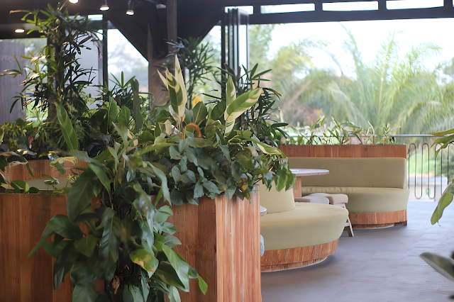 Sabin by Seken Living, Kafe Berkonsep Sustainable dan Garden di Jogja